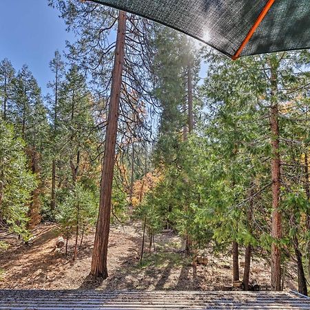 Quiet Twain Harte Cabin With Deck And Forest Views! Extérieur photo