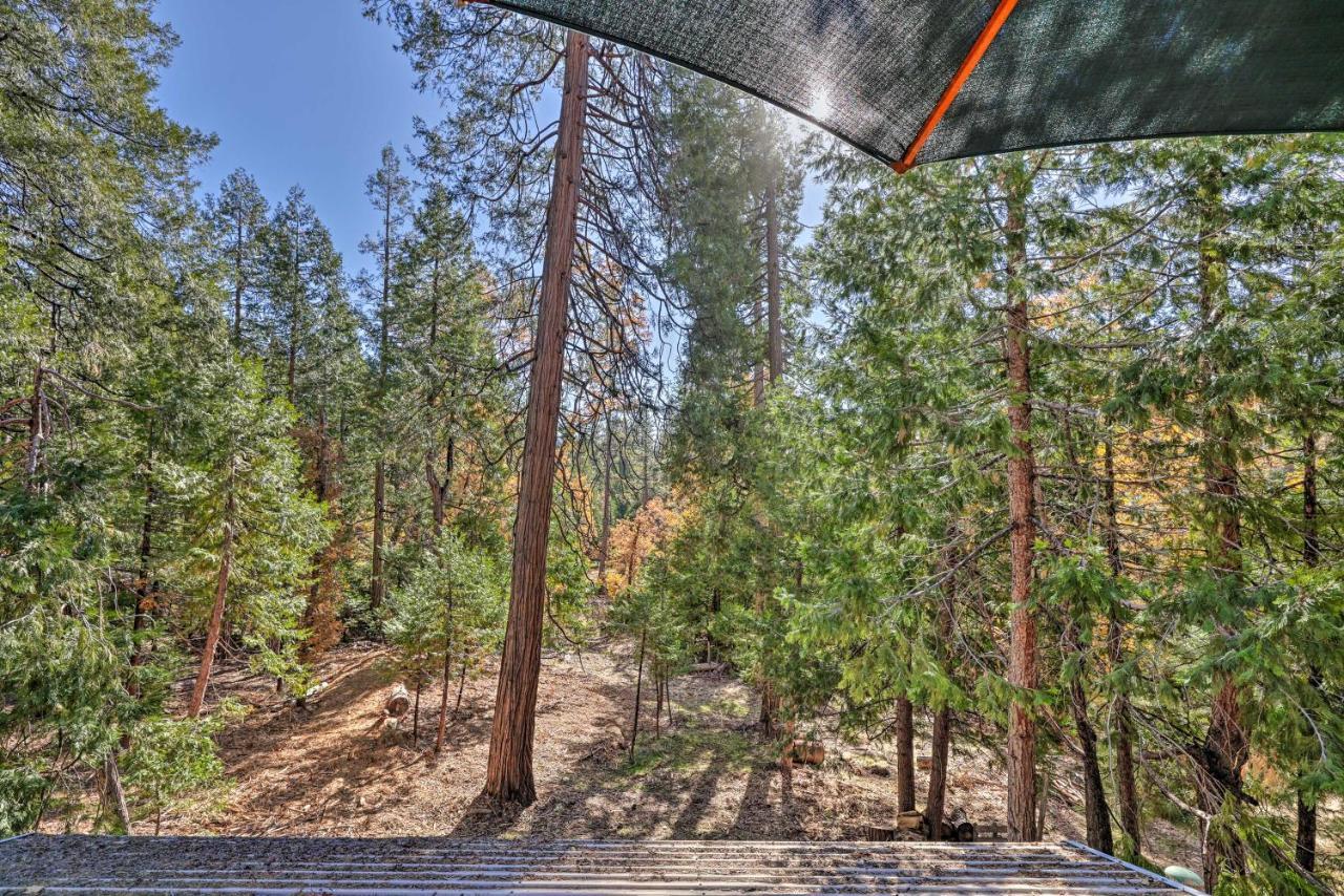 Quiet Twain Harte Cabin With Deck And Forest Views! Extérieur photo